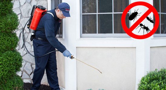 Germiyan Akrep İlaçlama böcek ilaçlama ve haşere kontrolü — ilaclama-tr.com